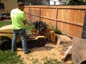 Stump grinding machine