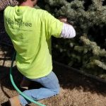 Fertilizing and Deep Root Feeding