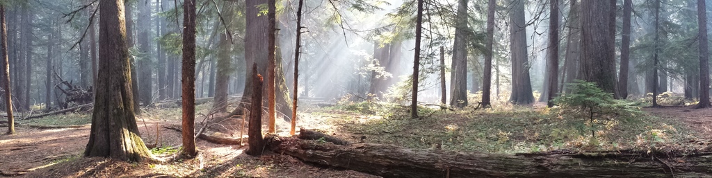 Sustainability Panorama