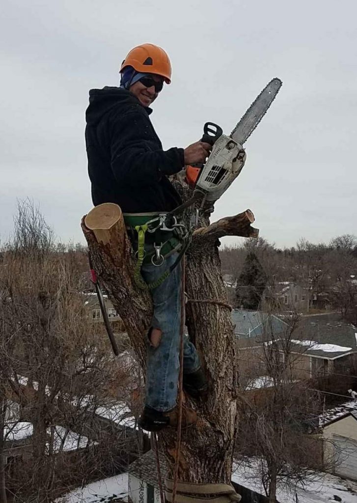 Denver Tree Removal