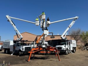 Denver Tree Trimming
