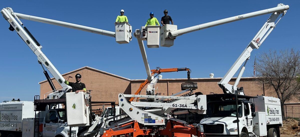 Bailey Tree Bucket Equipment 3