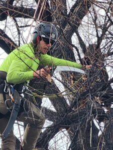 Jacob Mossel - Arborist Foreman - 7 years experience