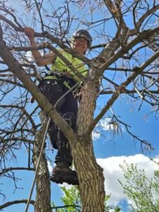 Tanner Zubler - Arborist Foreman - 5 years experience