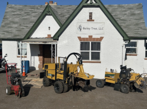 Stump Grinding by Bailey Tree